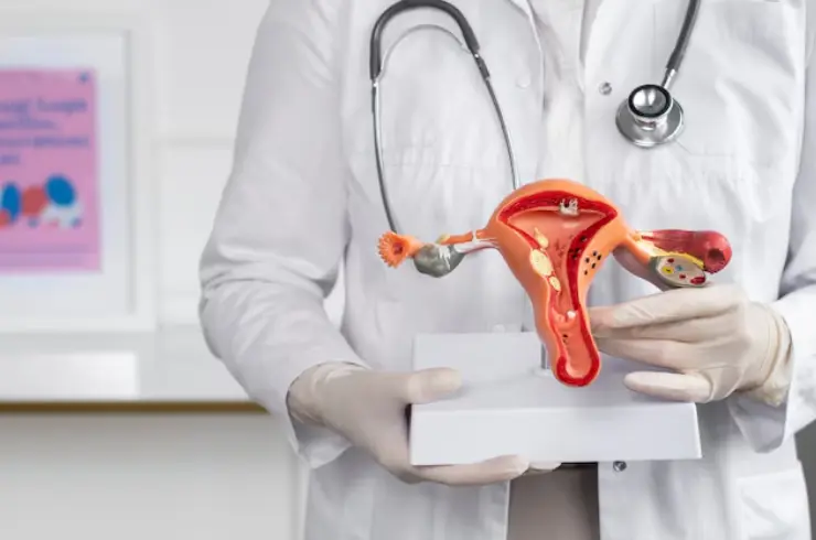 Non descent vaginal hysterectomy 